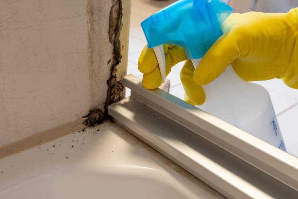 Best Mold Testing  in Crystal Falls, MI